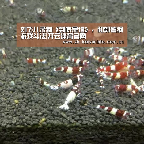 刘飞儿录制《到底是谁》,和郭德纲游戏斗法|开云体育官网(图1) 开云体育