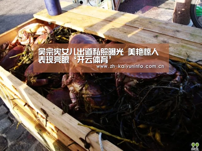 吴宗宪女儿出道私照曝光 美艳惊人表现亮眼‘开云体育’(图1) 开云体育官网