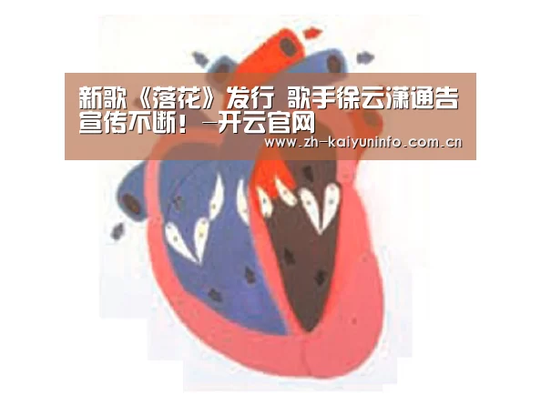 新歌《落花》发行 歌手徐云潇通告宣传不断!-开云官网(图2) 开云官网