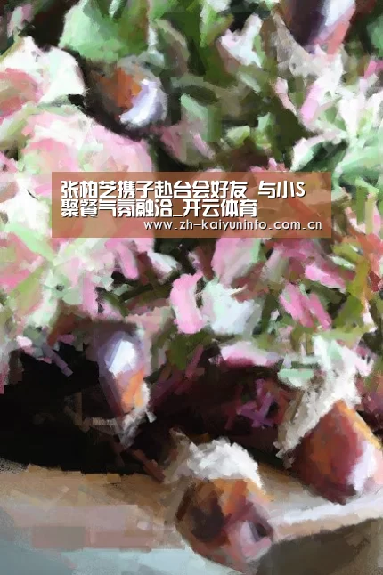 开云体育