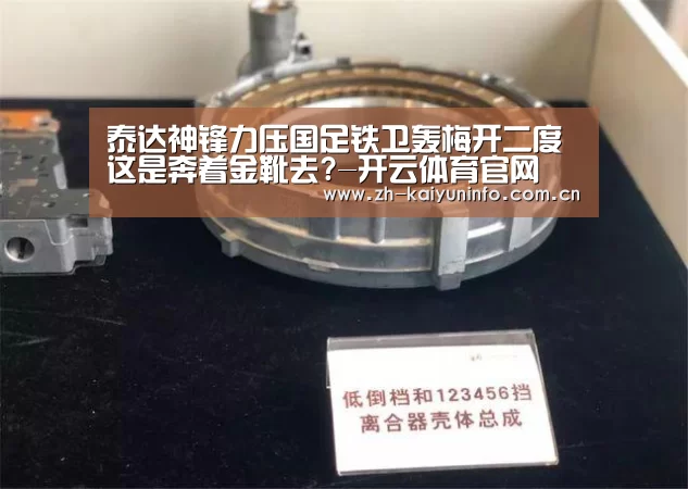 泰达神锋力压国足铁卫轰梅开二度 这是奔着金靴去?-开云体育官网(图3) 开云体育官网