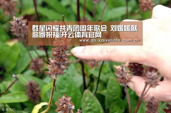 群星闪耀共青团周年歌会 刘媛媛献歌寄祝福|开云体育官网(图3) 开云体育